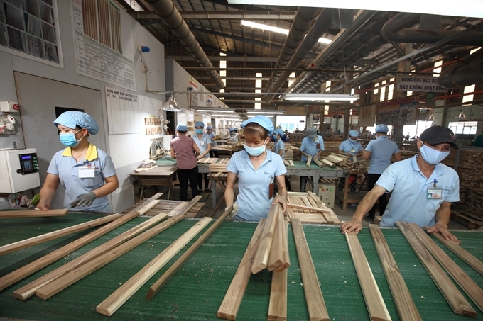 nhân công cho ngành chế biến gỗ