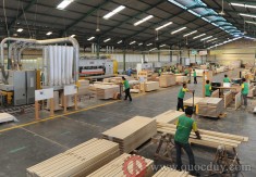 Vietnam wood industry sees bright future as orders increase