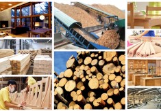 WOODWORKING INDUSTRY IN 2017: TO OVERCOME CHALLENGES, TO GET GROWTH